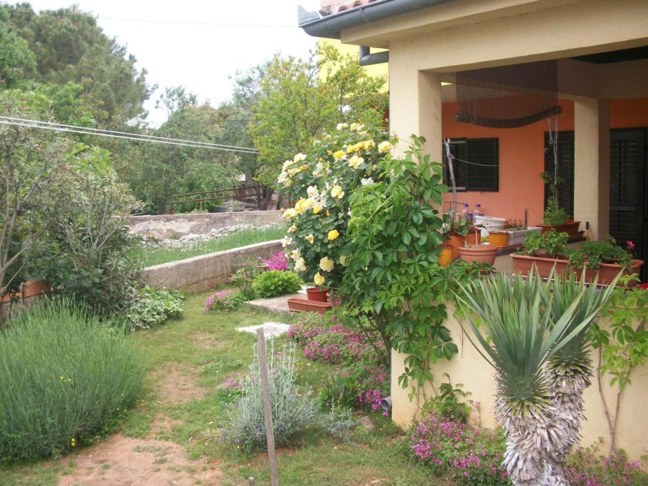 Apartments Mirjana Petrcane Luaran gambar