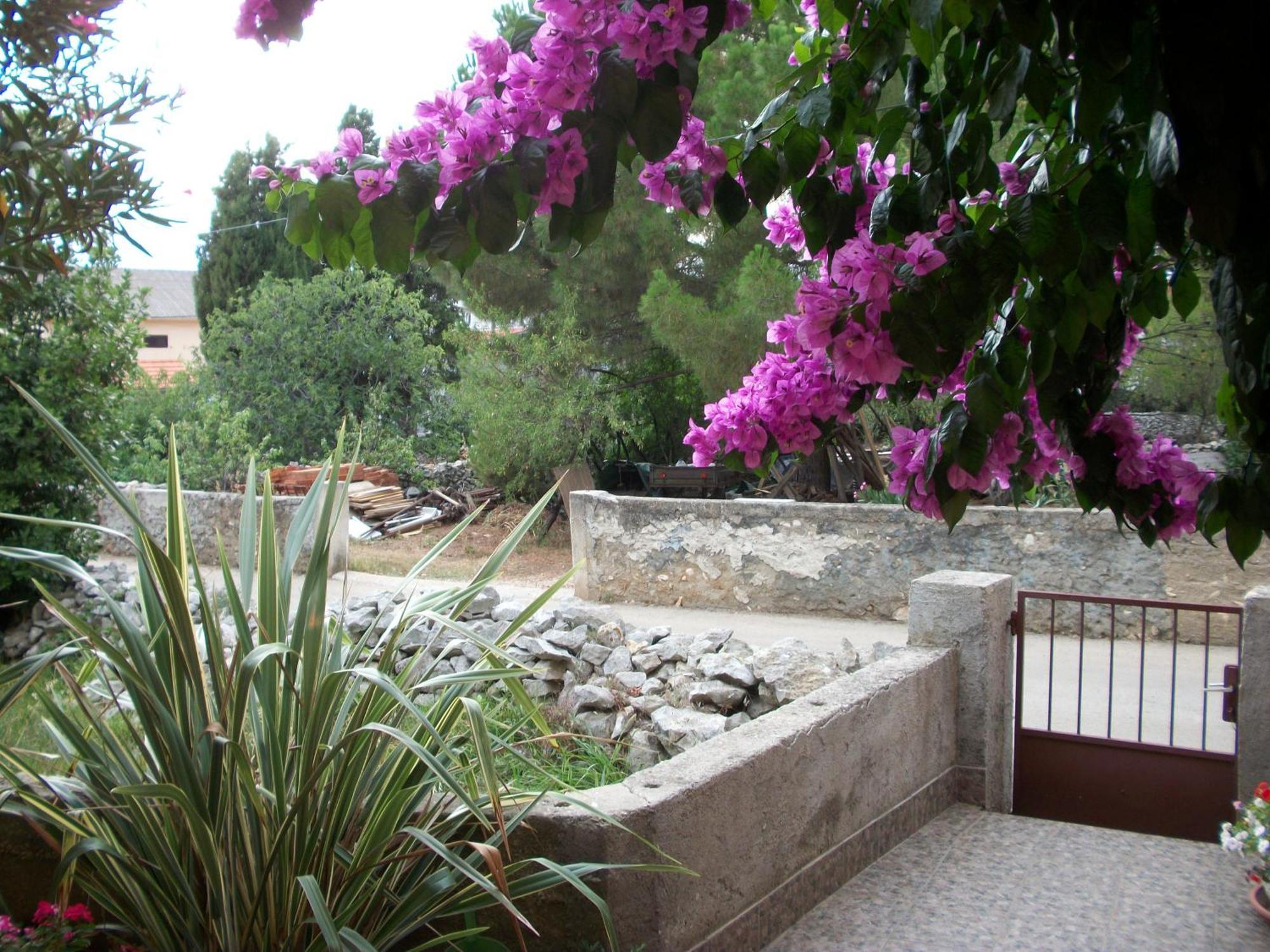 Apartments Mirjana Petrcane Luaran gambar