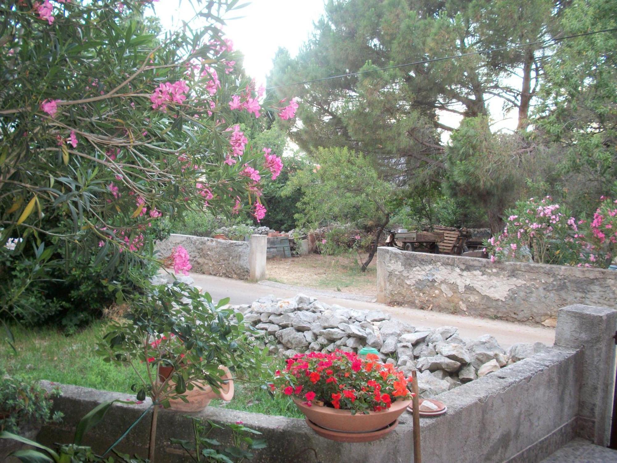 Apartments Mirjana Petrcane Luaran gambar