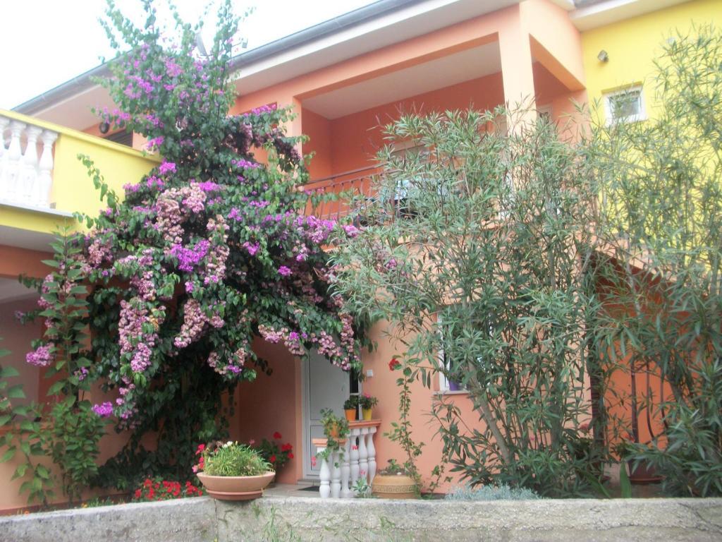 Apartments Mirjana Petrcane Luaran gambar